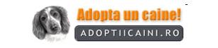 www.adoptiicaini.ro/pe-alese/